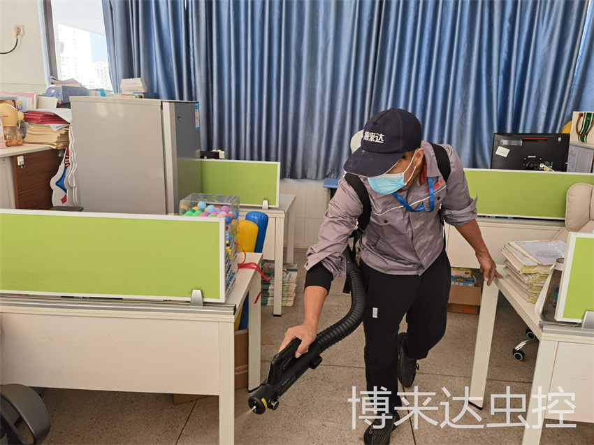 深圳“四害”防制：春季消杀，灭鼠、灭蚊、灭蝇、灭蟑有妙招