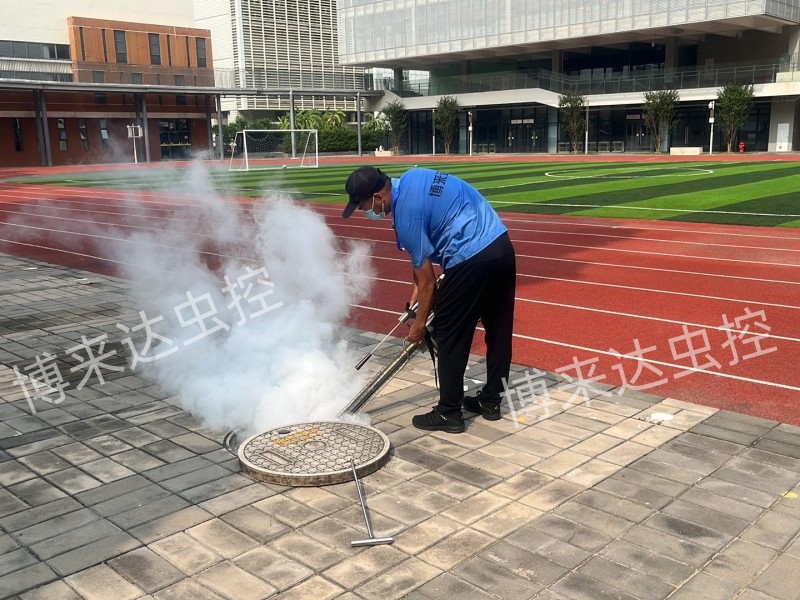 深圳消杀公司：2022年秋季开学，各中小学幼学校加强病媒生物防治工作