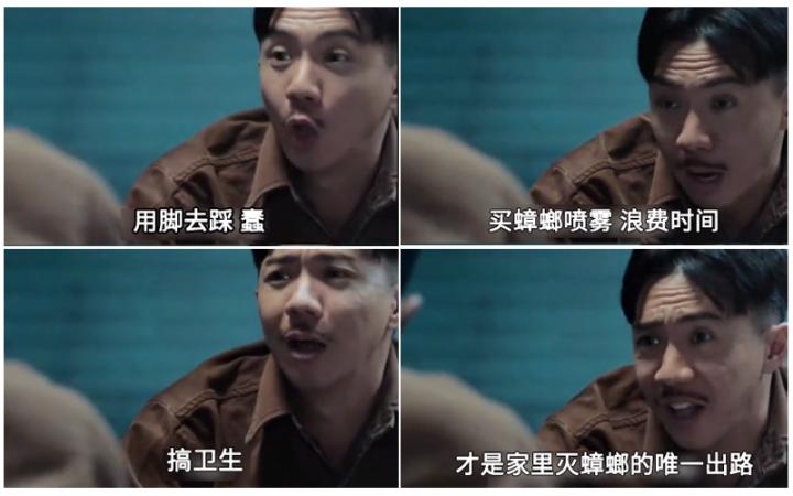 深圳除蟑螂：如何消灭家里的蟑螂