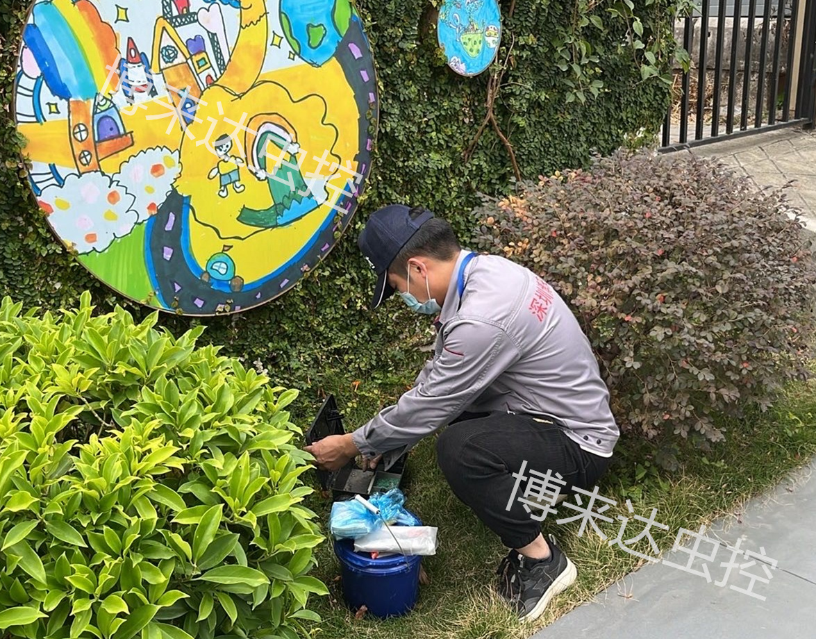 深圳杀老鼠公司分享：老鼠是如何入侵室内的？老鼠你辣么厉害，你咋不上天呢？