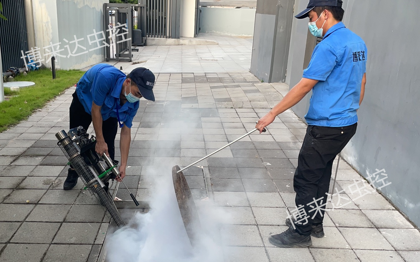 白蚁有哪些危害？为什么要找深圳除白蚁公司消杀白蚁