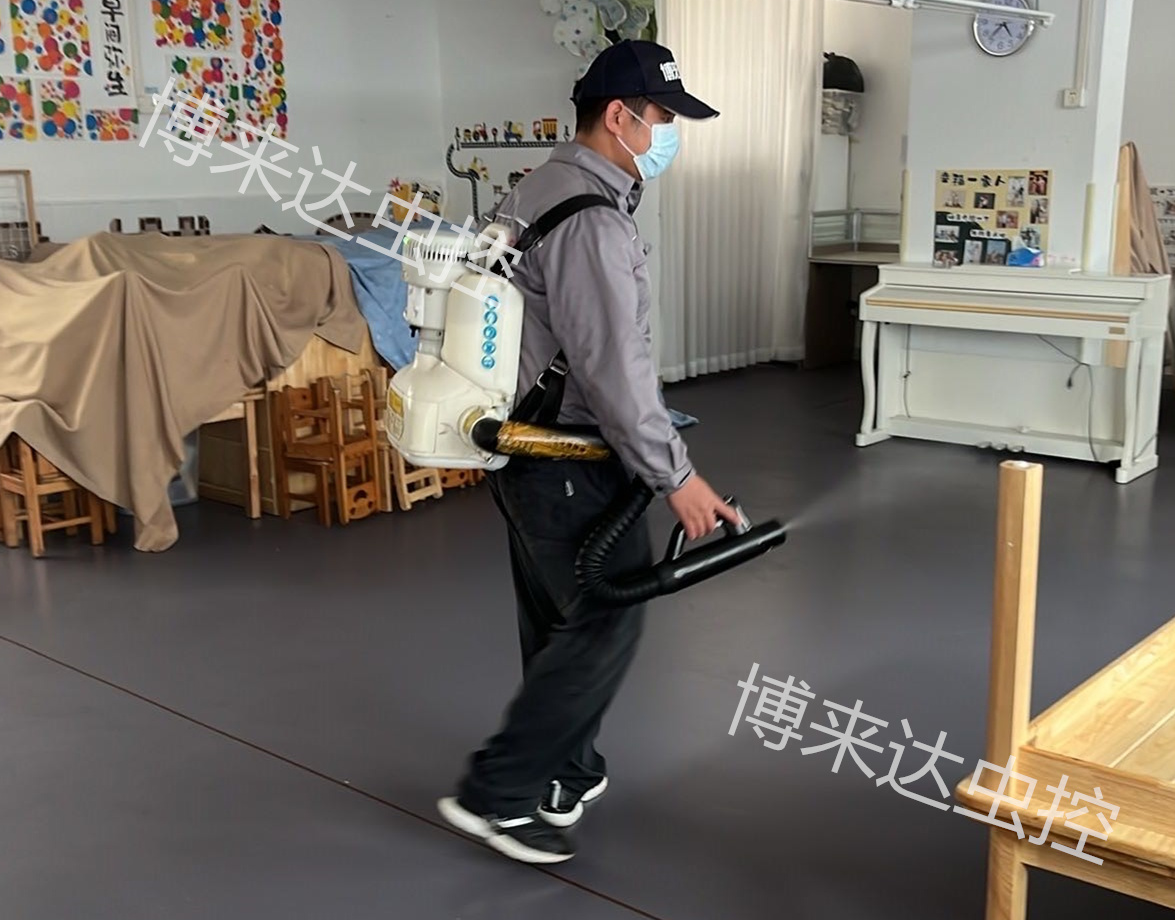 深圳灭白蚁专家教大家如何找到散白蚁