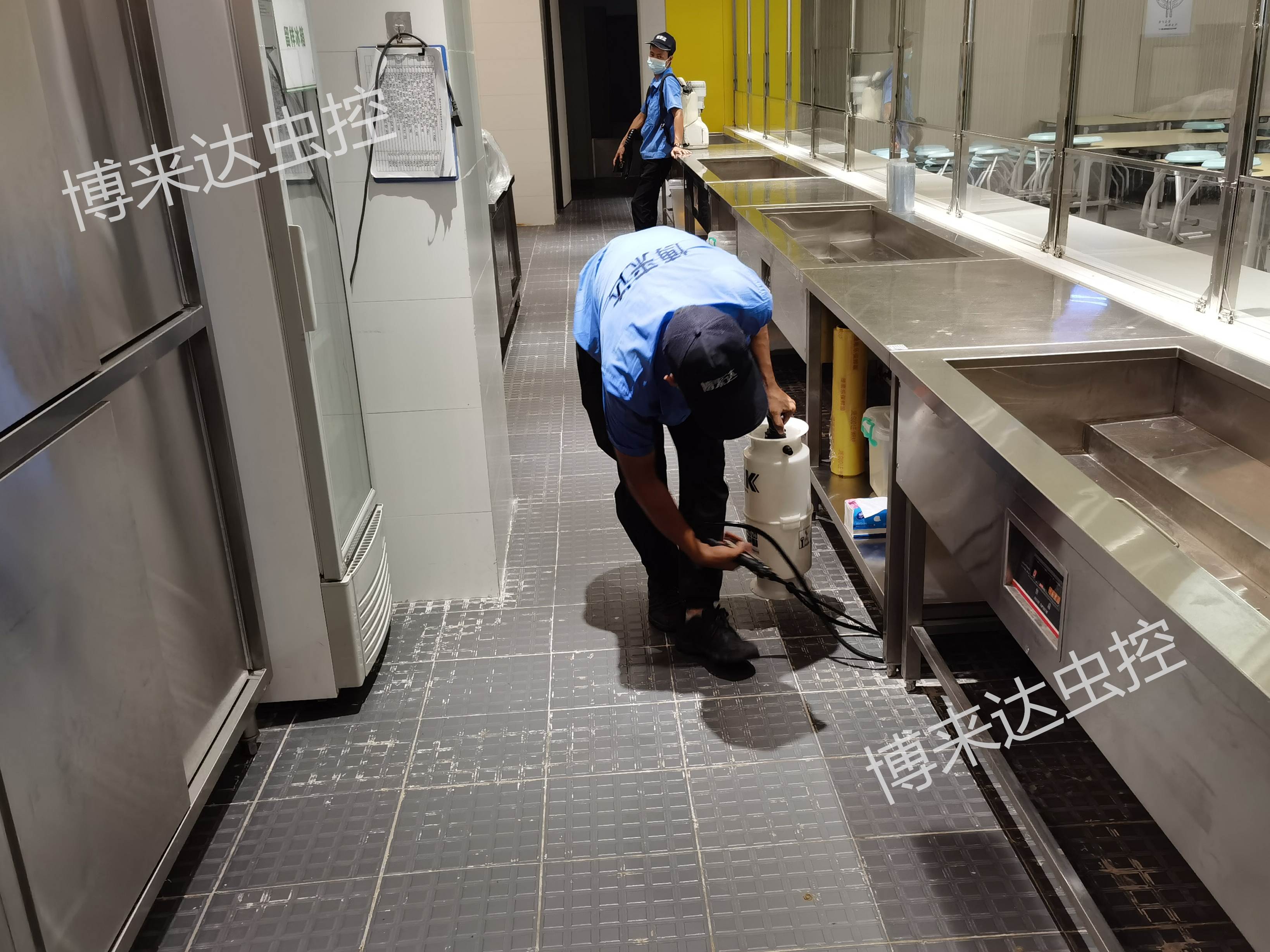 深圳白蚁防治公司提醒春夏是白蚁泛滥高峰期