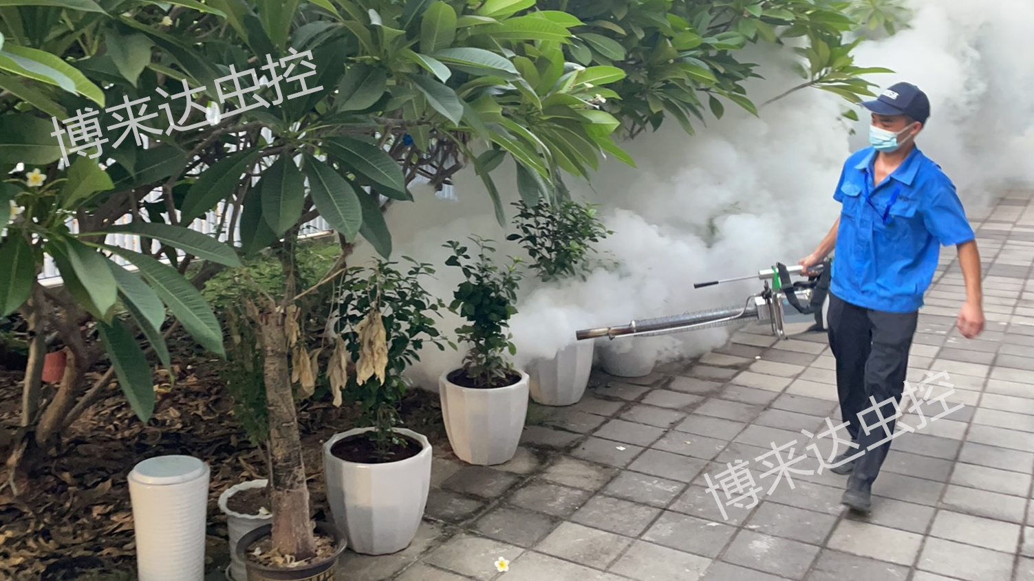 深圳灭白蚁公司分享：房屋建筑白蚁预防方案