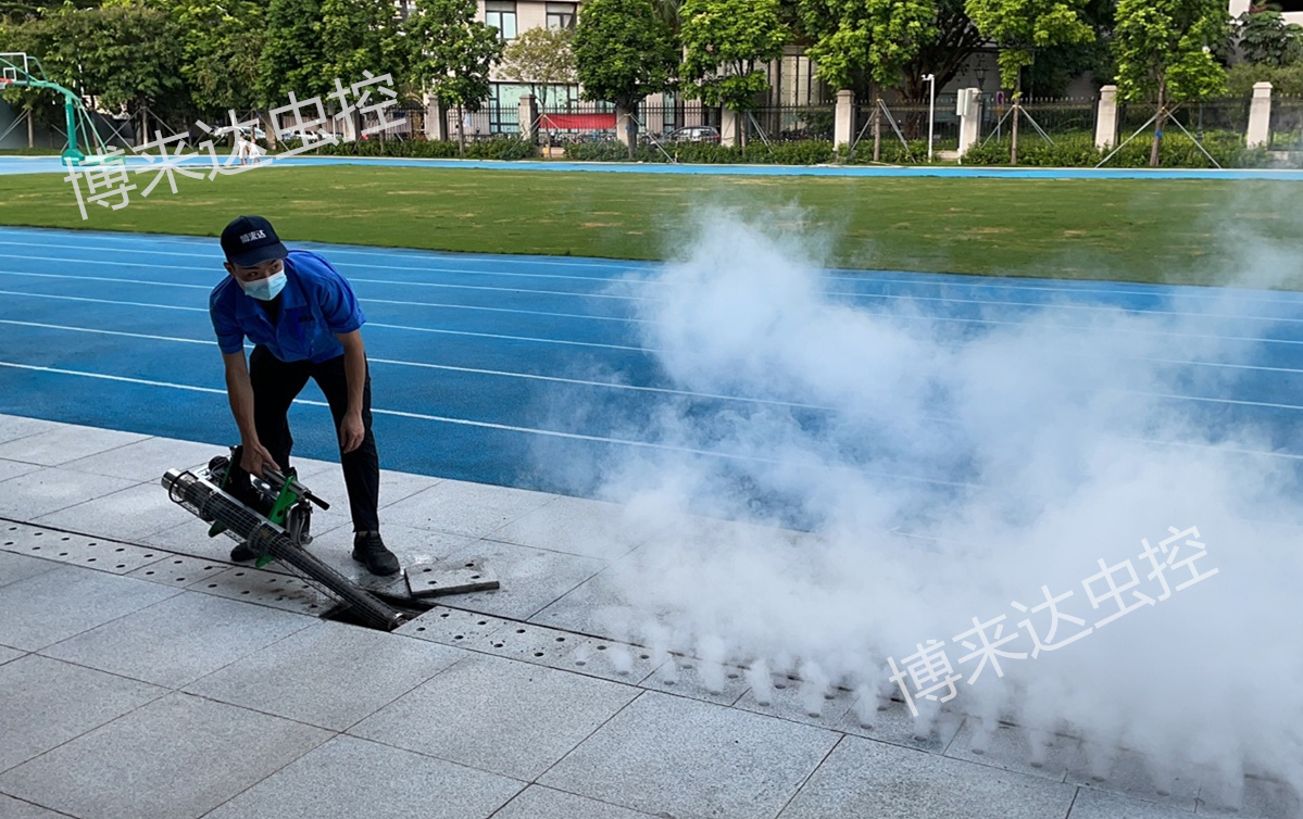深圳除四害公司分享娱乐场所杀虫灭鼠方案
