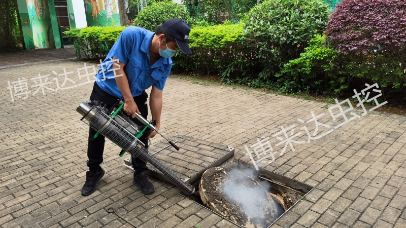 深圳消杀公司：预防蟑螂孳生其实很简单