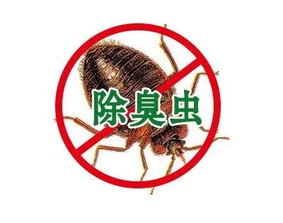 臭虫防治的常见问题