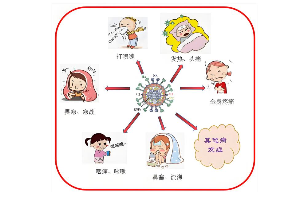 早期发热、头痛、面红红，严重可导致肾衰竭！这个传染病太易被忽视