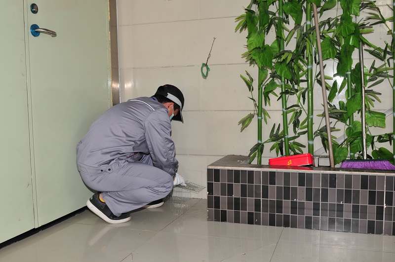 社区全面开展冬季灭鼠行动