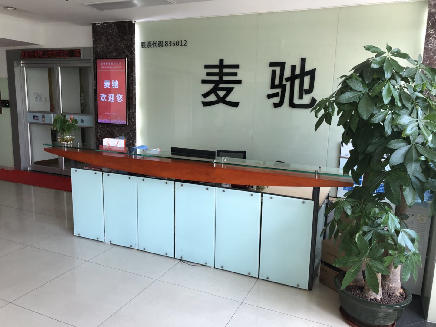 麦驰股份