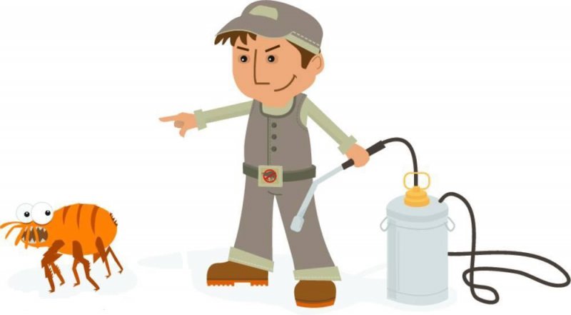 博来达落实《广东省爱卫会办公室关于做好2018年卫生城市、乡镇(县城)复审工作的通知》精神