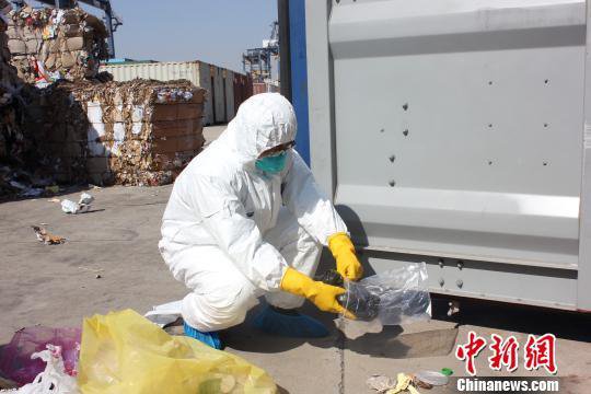 常州口岸截获黄胸鼠等上千只有害生物