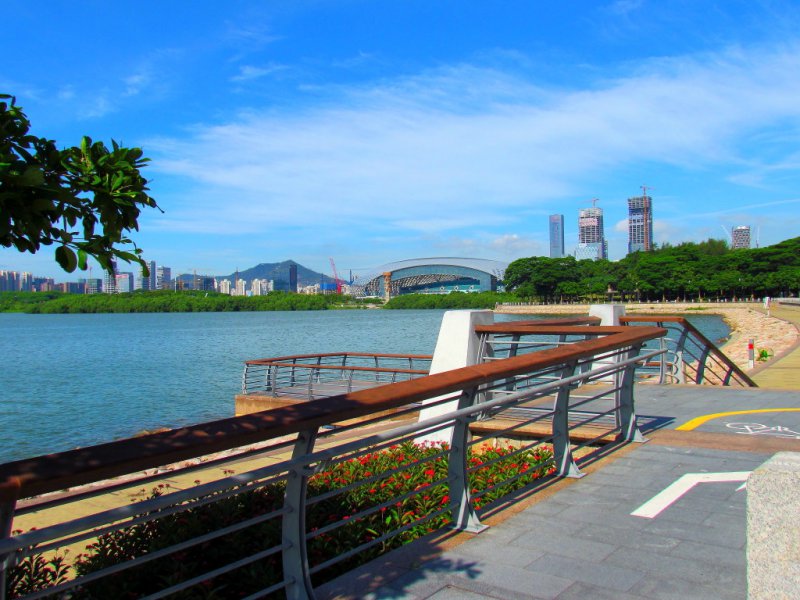 物种入侵危害大 立体防护网亟需加快编织