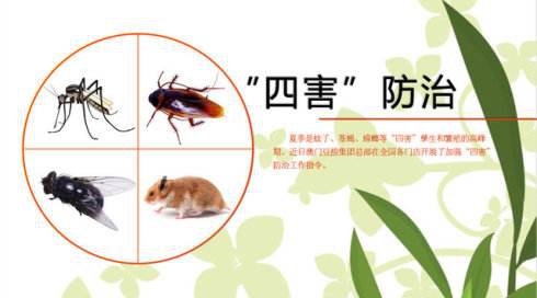除“四害”从日常生活做起