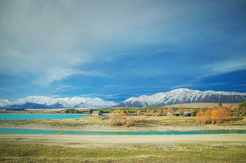 新西兰岛屿灭鼠救鸟 20万只老鼠无影无踪