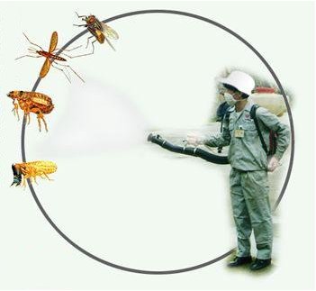 公明“消杀”服务荣获百佳项目