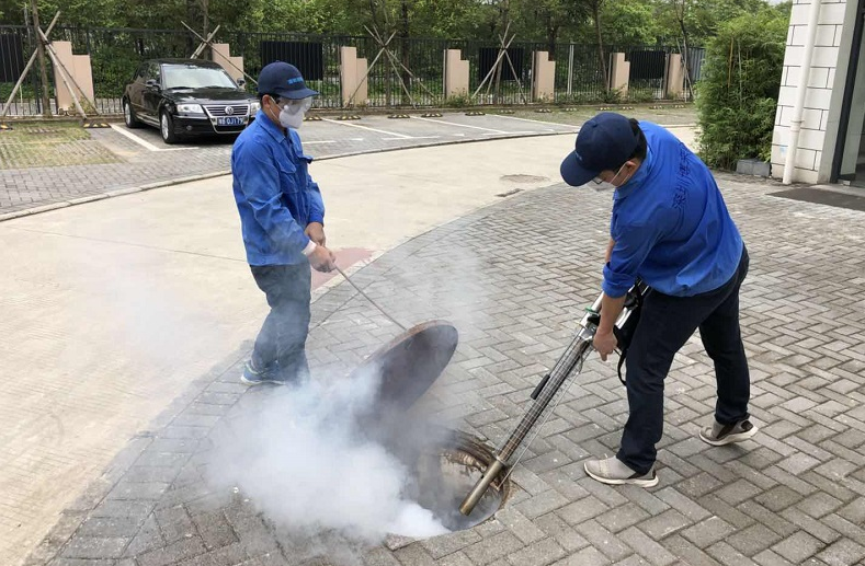 蟑螂泛滥,老鼠成灾,里斯本有害生物治理成难题