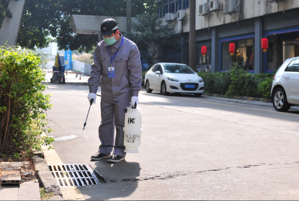 消杀“越冬蚊”,可降低登革热感染风险