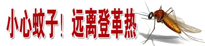 如何预防登革热