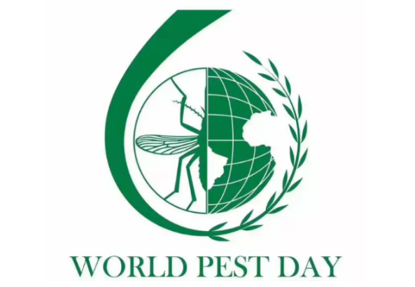 6月6日“世界害虫日”的由来