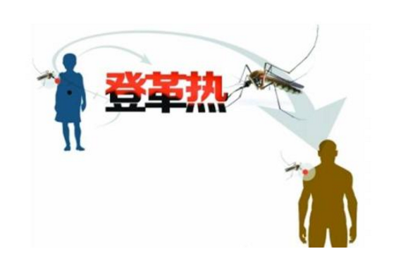 广东省已进入登革热高发季