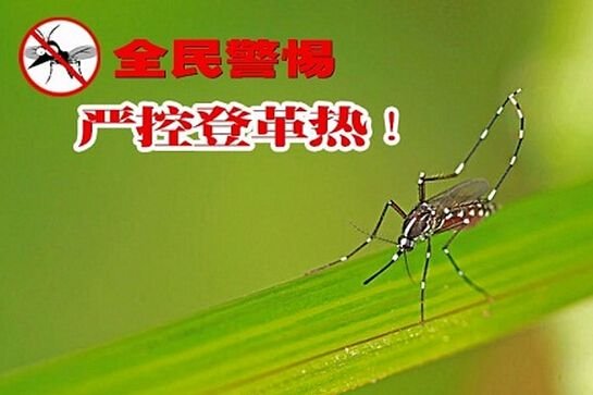 爱卫处(爱卫办)疾控部门联合行动快速处置2018年首例本地登革热疫情