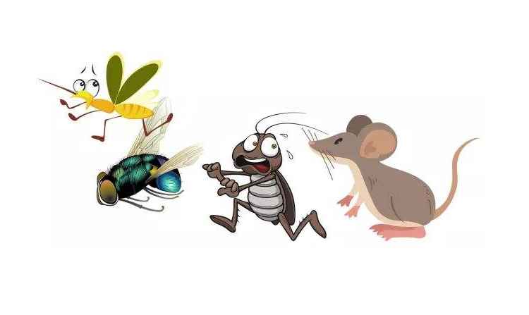 鹏城病媒生物防控高峰论坛将于9月份举行