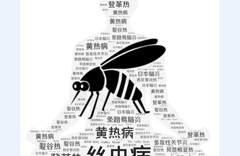 不要为蚊子献血 蚊子是人类的顶级掠食者