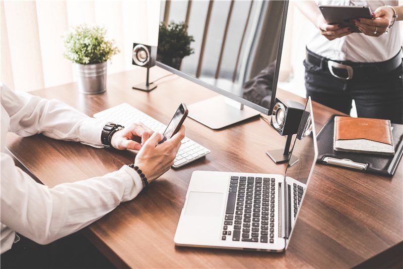 深圳灭鼠，常见老鼠种类及灭鼠方法